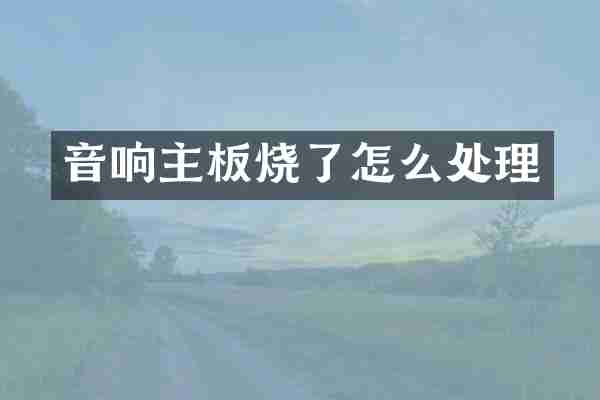音响主板烧了怎么处理