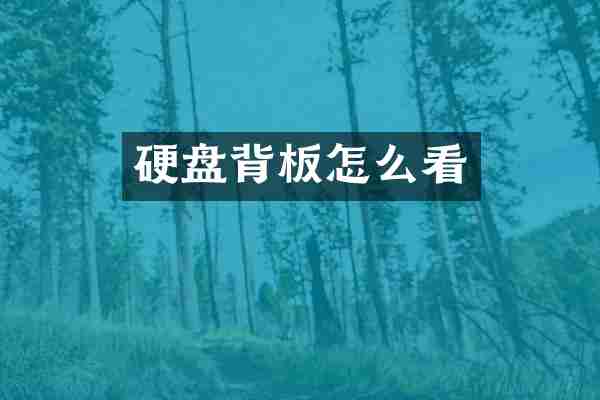 硬盘背板怎么看