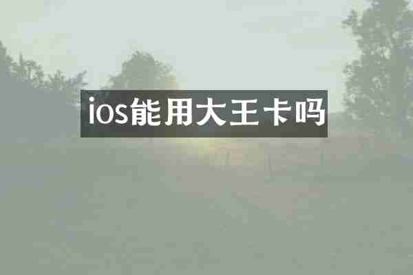ios能用大王卡吗