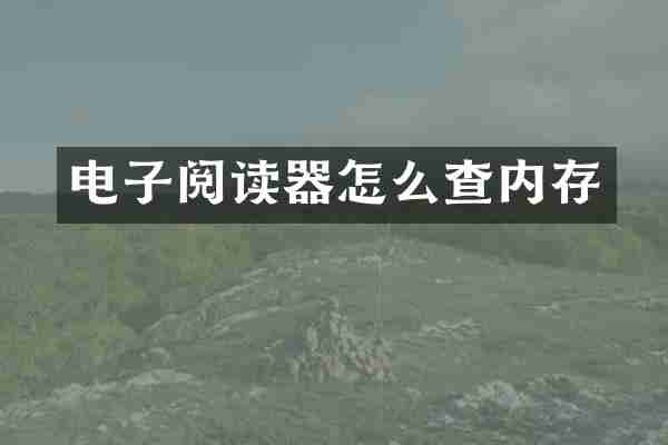 电子阅读器怎么查内存