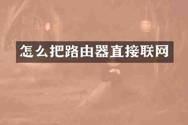 怎么把路由器直接联网