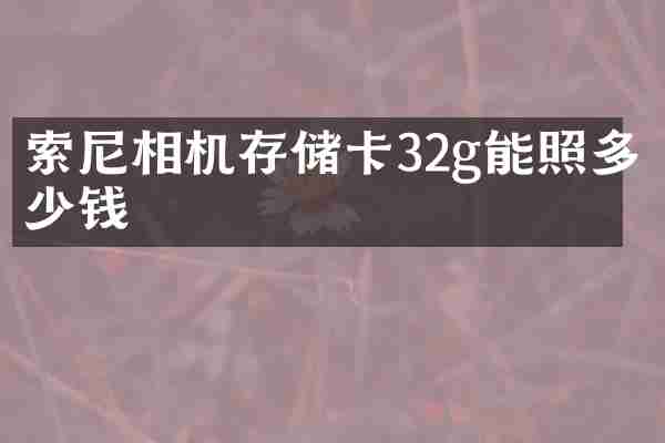 索尼相机存储卡32g能照多少钱
