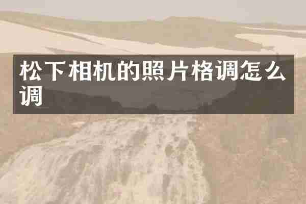 松下相机的照片格调怎么调