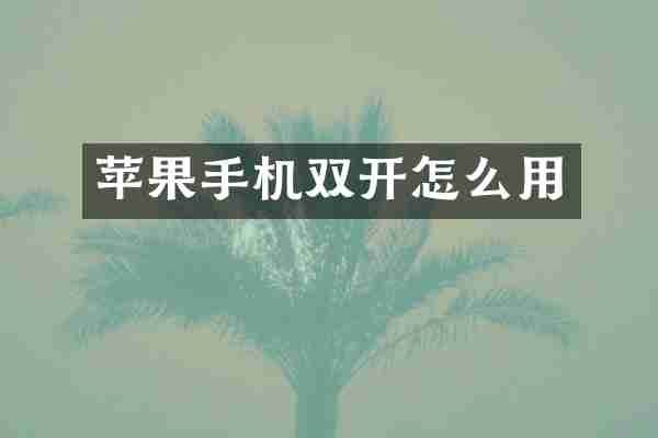 苹果手机双开怎么用
