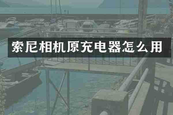 索尼相机原充电器怎么用
