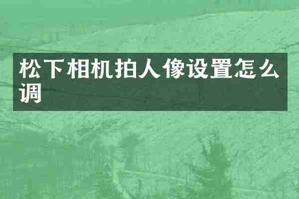 松下相机拍人像设置怎么调
