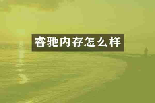 睿驰内存怎么样