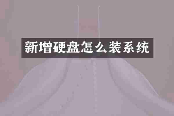 新增硬盘怎么装系统