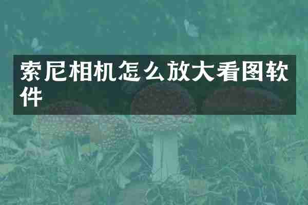 索尼相机怎么放大看图软件