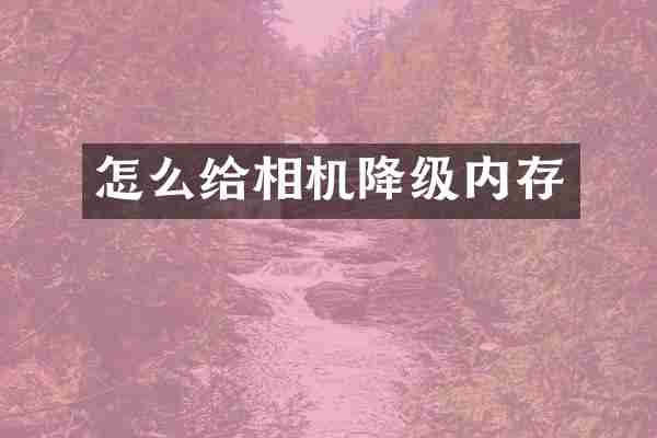 怎么给相机降级内存