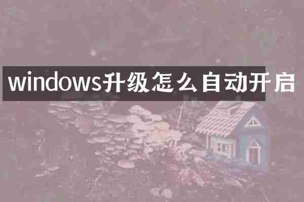 windows升级怎么自动开启