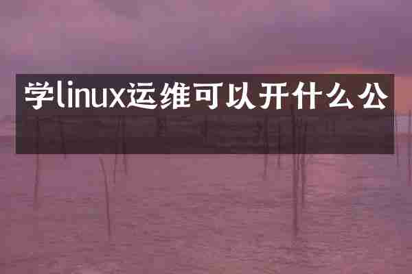 学linux运维可以开什么公司
