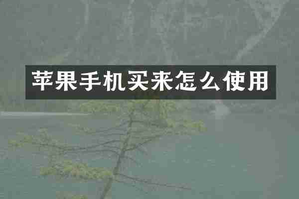苹果手机买来怎么使用