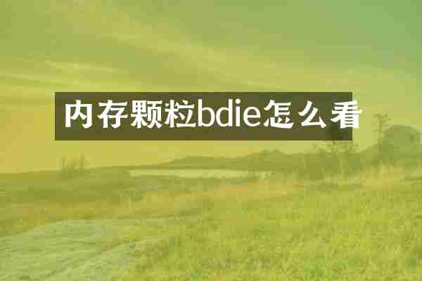 内存颗粒bdie怎么看