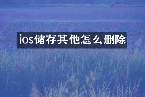 ios储存其他怎么删除