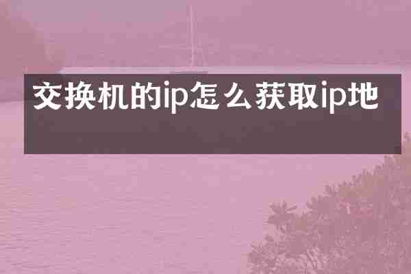 交换机的ip怎么获取ip地址