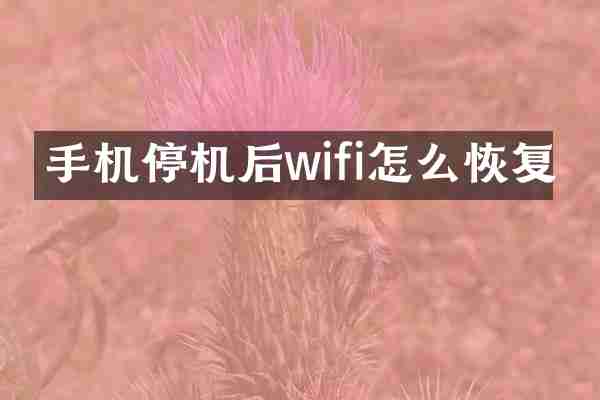 手机停机后wifi怎么恢复