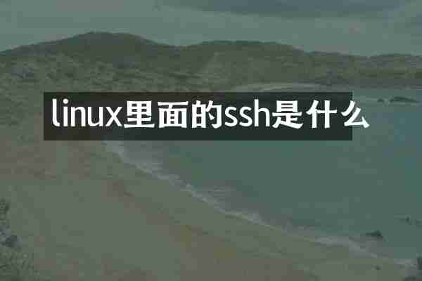 linux里面的ssh是什么