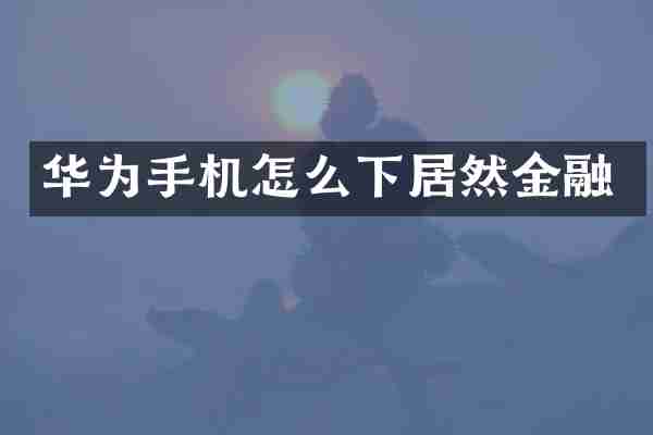 华为手机怎么下居然金融