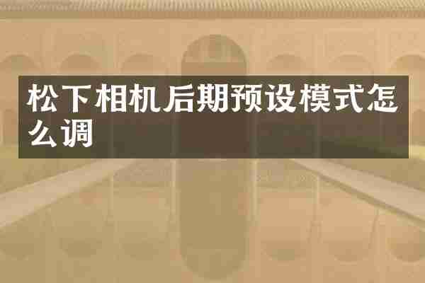 松下相机后期预设模式怎么调