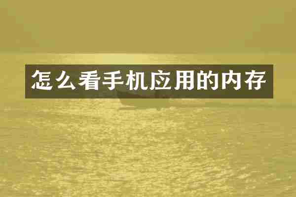 怎么看手机应用的内存