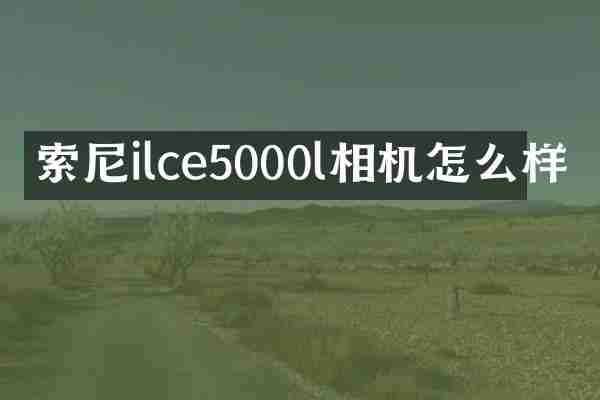 索尼ilce5000l相机怎么样