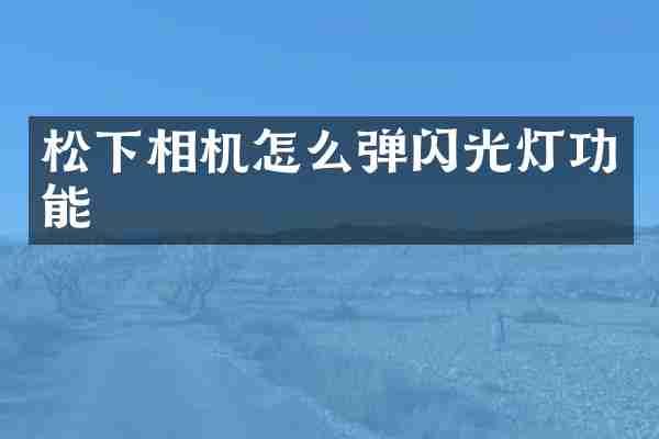 松下相机怎么弹闪光灯功能