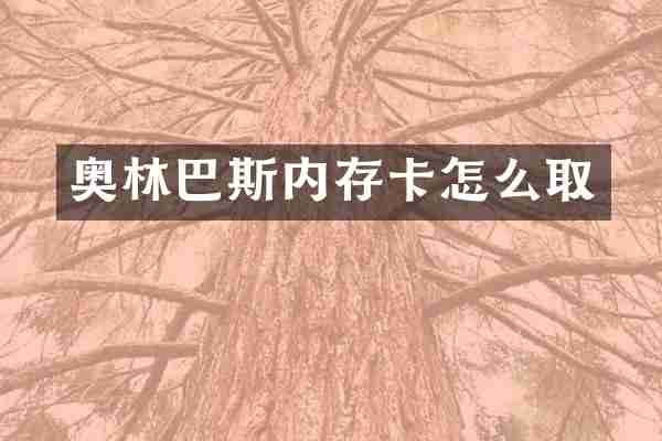 奥林巴斯内存卡怎么取