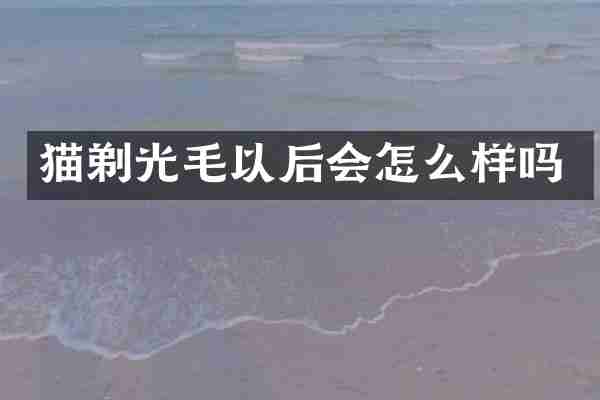 猫剃光毛以后会怎么样吗