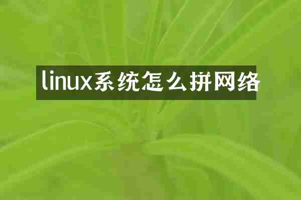 linux系统怎么拼网络