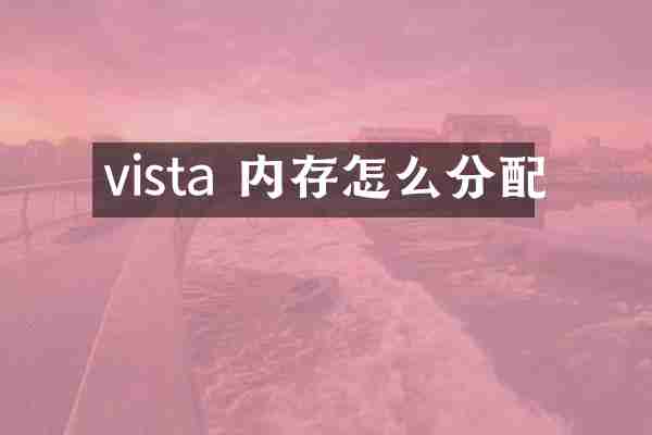 vista 内存怎么分配