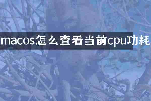 macos怎么查看当前cpu功耗