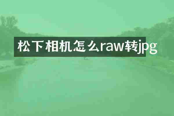 松下相机怎么raw转jpg