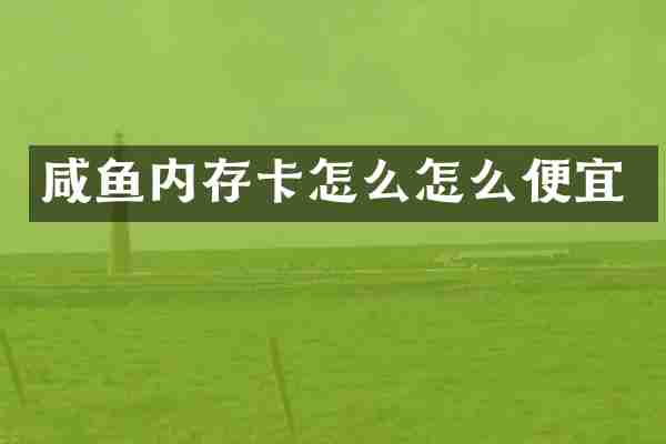 咸鱼内存卡怎么怎么便宜