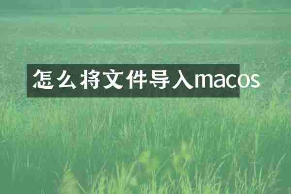 怎么将文件导入macos