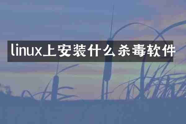 linux上安装什么杀毒软件