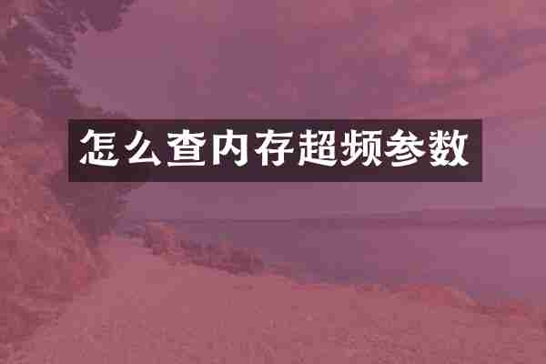 怎么查内存超频参数