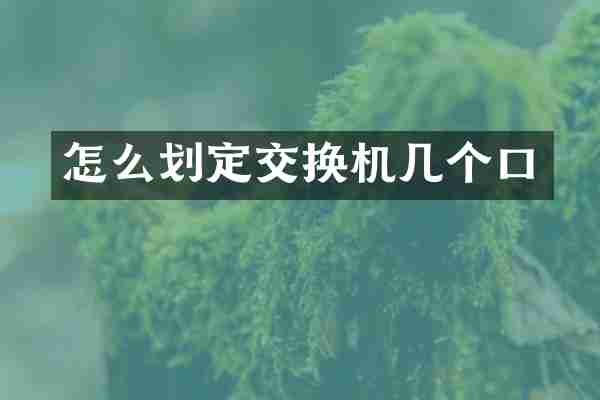 怎么划定交换机几个口