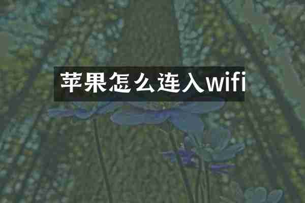 苹果怎么连入wifi