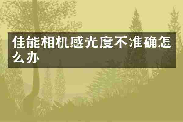 佳能相机感光度不准确怎么办