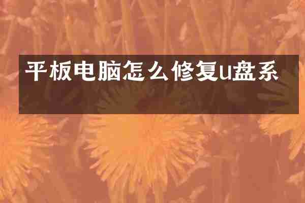 平板电脑怎么修复u盘系统