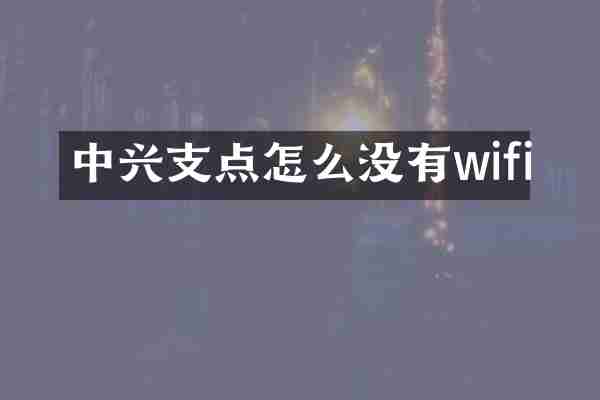 中兴支点怎么没有wifi