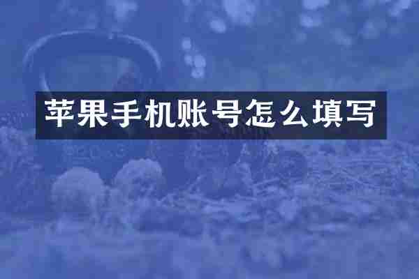 苹果手机账号怎么填写