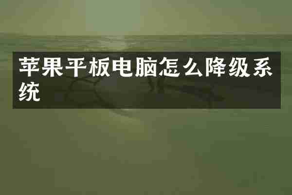 苹果平板电脑怎么降级系统