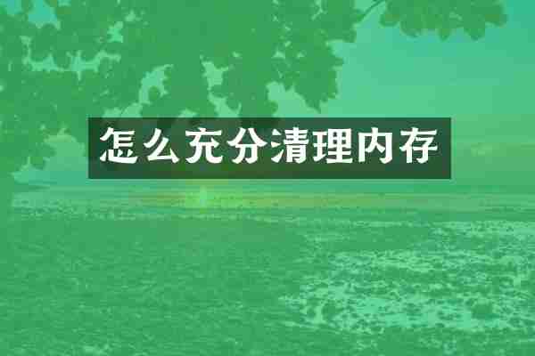 怎么充分清理内存