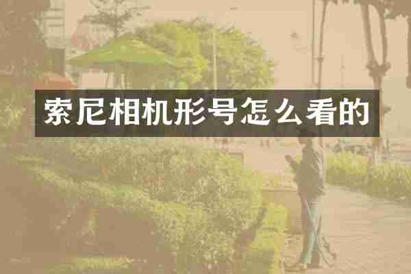 索尼相机形号怎么看的