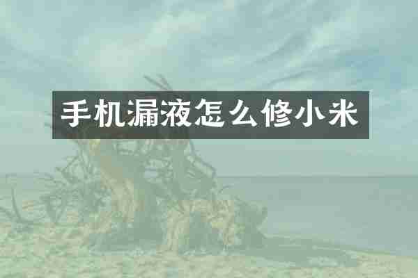 手机漏液怎么修小米