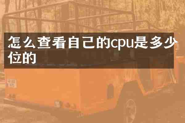 怎么查看自己的cpu是多少位的
