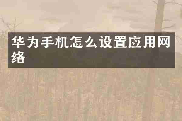 华为手机怎么设置应用网络