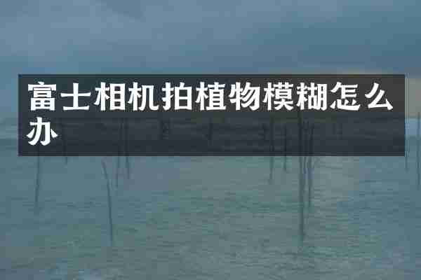 富士相机拍植物模糊怎么办